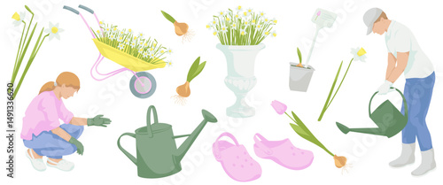 woman in work clothes  squatting to gardening, Man  watering with watering can, daffodils flowers, tulip flower, sprouted bulb of a plant, pair of rubber gardening clogs, watering can,Blooming daffodi
