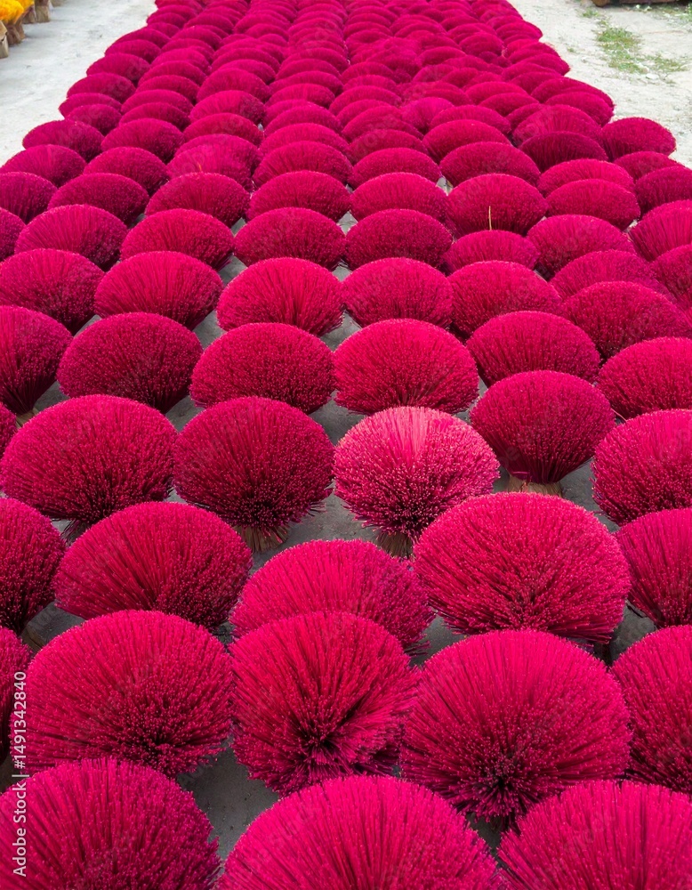 Obraz premium red incense in drying field
