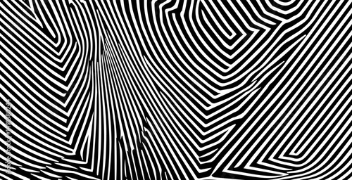 Vector illustration features dynamic black and white wavy lines in an abstract, optical art style. It channels a modern, bold look that’s popular in current minimal and graphic design trends.