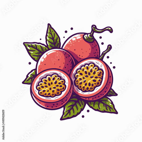 passion fruit vector illustration