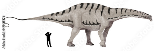 Foto アパトサウルス。中生代ジュラ紀後期の大型の竜脚類。長くブロントサウルスという異名で親しまれていた。頭部は長くて平たく、口先には鉛筆型の細かい歯列があり、体形は重