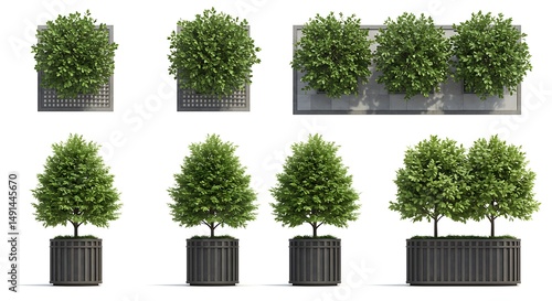 Potted plants and planters display