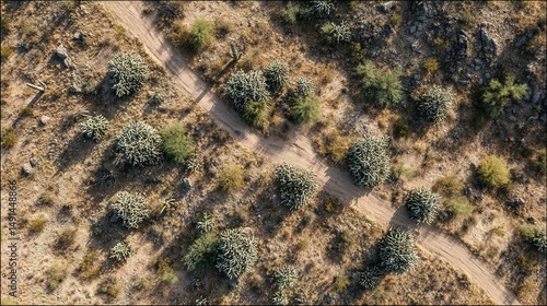 High-angle view of a network of paths through arid landscape.