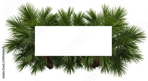 Exotic tropical palm leaves frame with blank rectangle central space