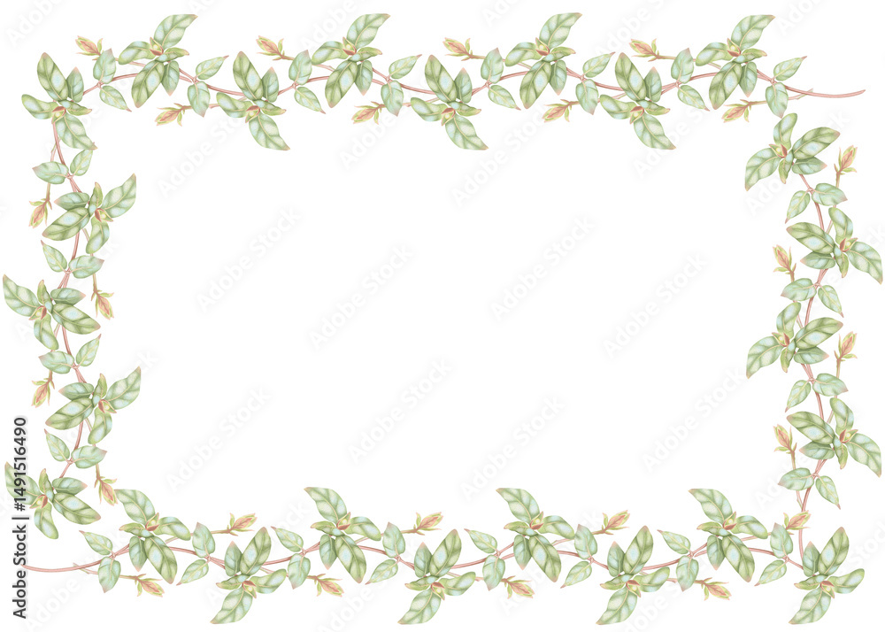 Rectangular frame with honeysuckle leaves. Hand-drawn watercolor natural frame of lush plants. Perfect for wedding invitations, botanical prints, minimalist home decor, romantic greeting cards. Rectangular frame with honeysuckle leaves. Hand-drawn watercolor natural frame of lush plants. Perfect for wedding invitations, botanical prints, minimalist home decor, romantic greeting cards.