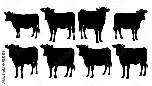 Cow Silhouette Set – Black Farm Cattle in Standing Poses on White Background