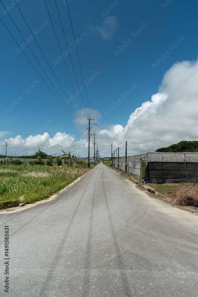 Fototapeta premium 電線の影が道路にある天気の良い田舎の一直線の農道