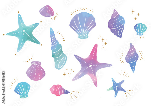 カラフルな水彩の貝殻のイラスト