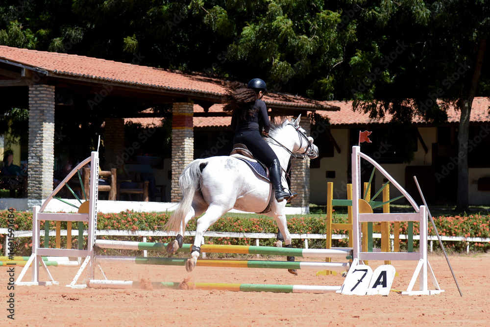 Bay horse,
Cherry horse,
Horse and rider,
Equestrian track,
Outdoor riding,
Equestrian center,
Equestrian show,Riding track,Equestrian center
Bay horse,
Cherry horse,
Horse and rider,
Equestrian track,
Outdoor riding,
Equestrian center,
Equestrian show,Riding track,Equestrian center