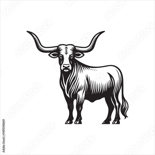 Black and White Vector of  Texas Longhorn Cow – Easy Tracing Illustration