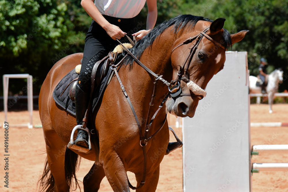 Obraz premium woman riding a horse, show jumping, equestrian show jumping, equestrian competition, rider show jumping, obstacle course, cross country show jumping, young woman, equestrian training, horse riding 