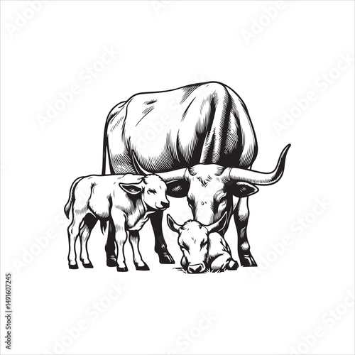 Black and White Vector of  Texas Longhorn Cow – Easy Tracing Illustration