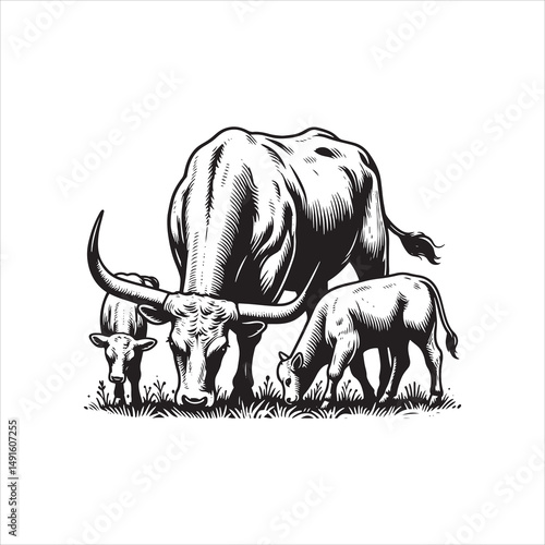 Black and White Vector of  Texas Longhorn Cow – Easy Tracing Illustration