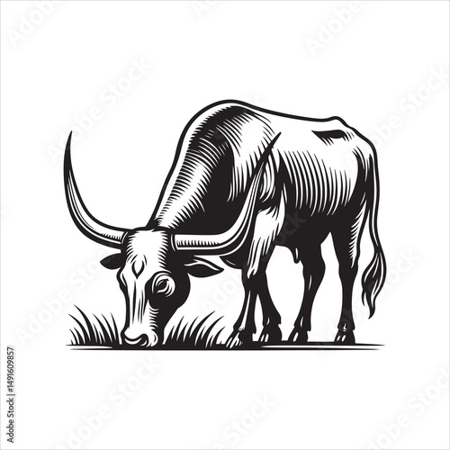 Black and White Vector of  Texas Longhorn Cow – Easy Tracing Illustration