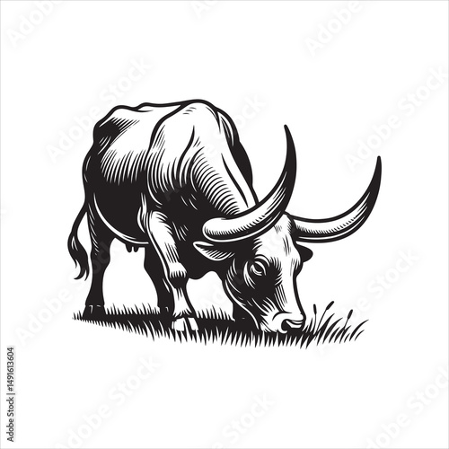 Black and White Vector of  Texas Longhorn Cow – Easy Tracing Illustration