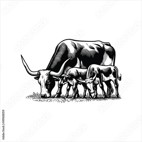 Black and White Vector of  Texas Longhorn Cow – Easy Tracing Illustration