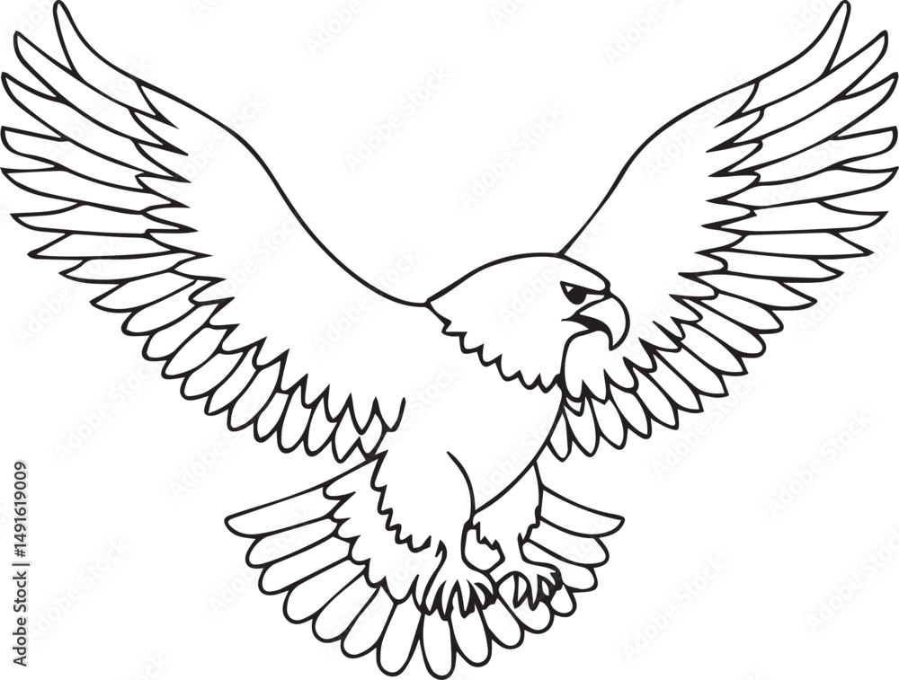Fototapeta premium flying bald eagle line art silhouette vector, eagle line art illustration, eagle line art clipart