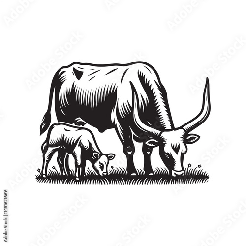 Black and White Vector of  Texas Longhorn Cow – Easy Tracing Illustration