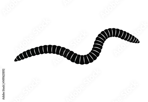 Earthworm silhouette. This image shows a black earthworm outline, a segmented soil creature. Vector clipart illustration design.