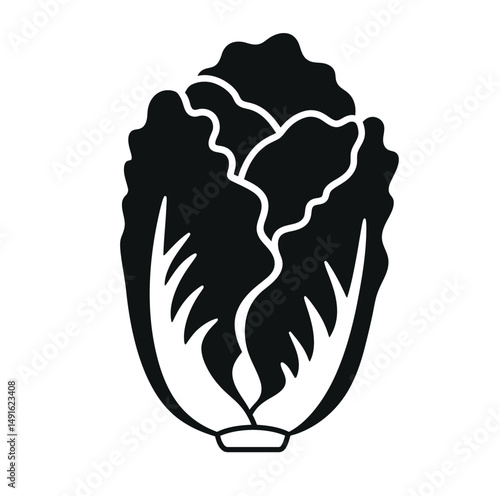 Lettuce silhouette. This image shows a black lettuce outline, a leafy green vegetable often used in salads. Vector clipart illustration design.