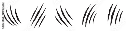 Animal claw scratches mark set. Claw scar. Realistic set of animal claws. Wild animal claws scratch texture. Vector-eps 10