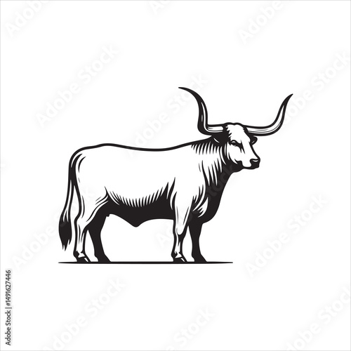 Black and White Vector of  Texas Longhorn Cow – Easy Tracing Illustration