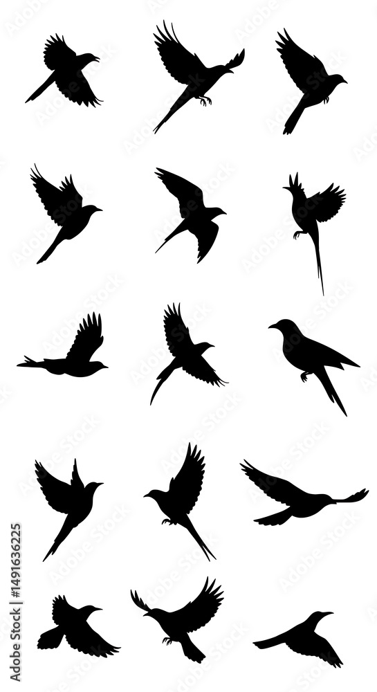 Obraz premium Flight of Shadows