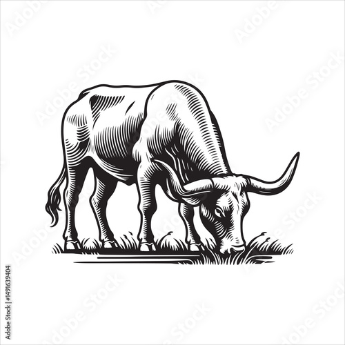 Black and White Vector of  Texas Longhorn Cow – Easy Tracing Illustration