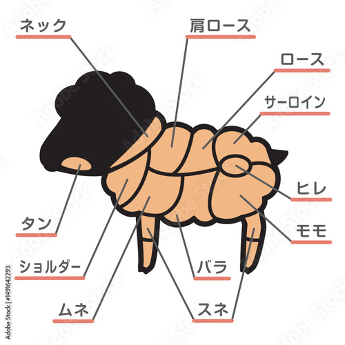 羊肉の部位のイラスト　文字あり