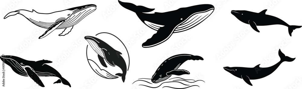 Fototapeta premium Humpback whale illustration, humpback whale vector silhouette.