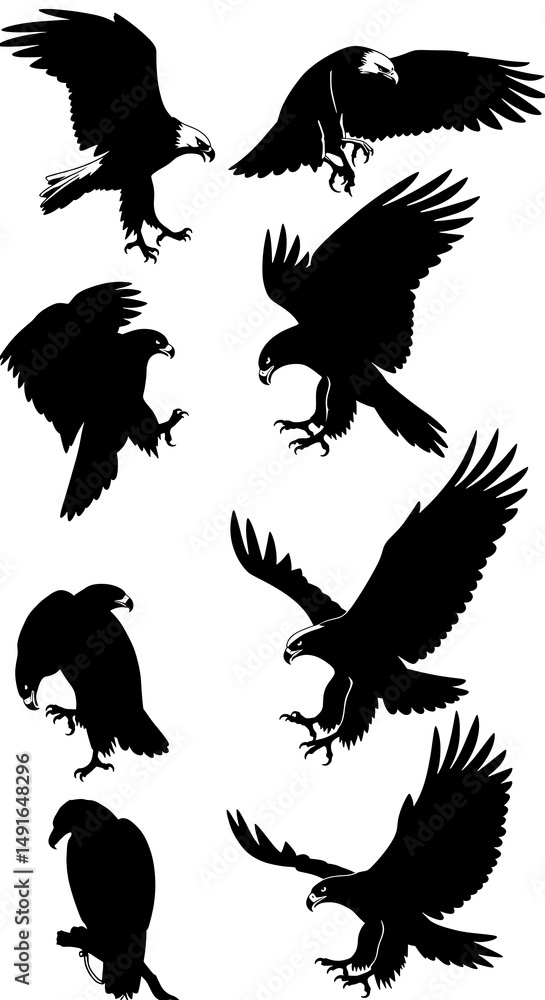 Obraz premium Eagle Flight: Silhouette Series