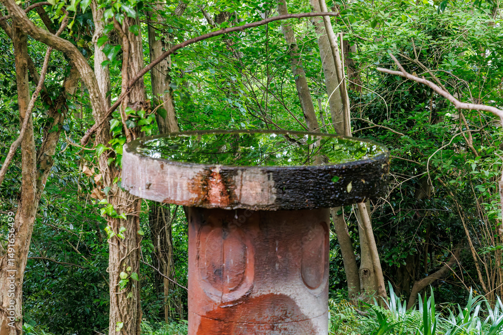 Fototapeta premium 秦野駅近くにある弘法山公園は、浅間山、権現山、弘法山を含む神奈川県立の自然公園。 山頂には野鳥の観察施設「バードサンクチュアリ」がある 神奈川県秦野市- 2025年