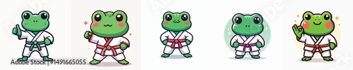 cute frog vector in karate costume