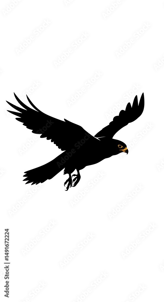 Obraz premium Shadow Wings, Silent Flight