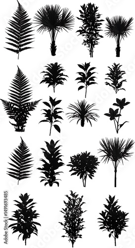 Wallpaper Mural Botanical Nocturne Torontodigital.ca