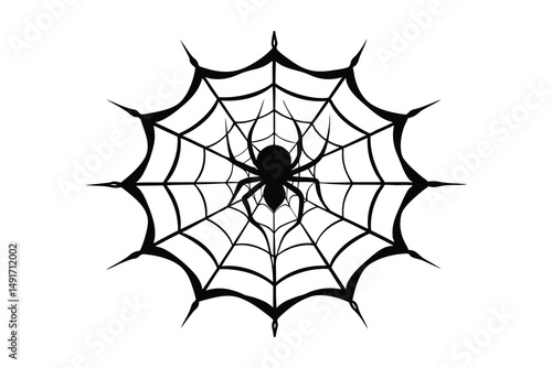 spider and web silhouette vector illustration on white background