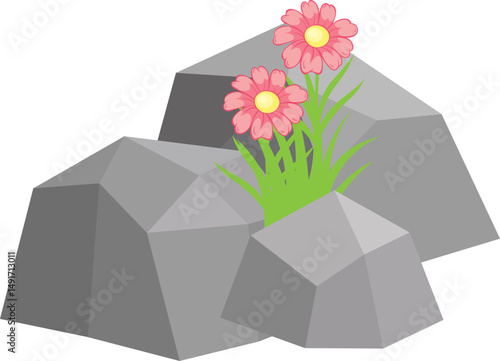 Rock And Grass With Wildflower