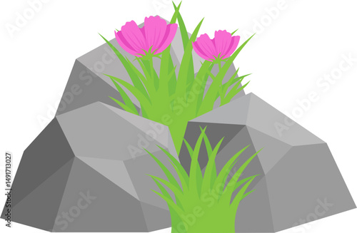 Rock And Grass With Wildflower