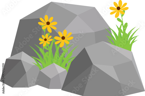 Rock And Grass With Wildflower