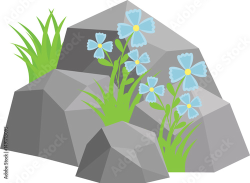 Rock And Grass With Wildflower
