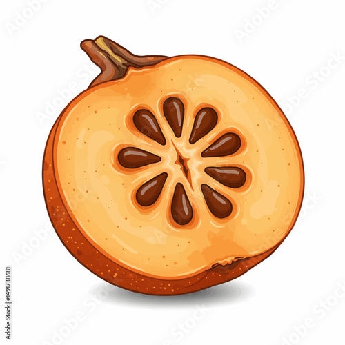 Orange fruit slice illustration, showing seeds and stem, on the upper right corner