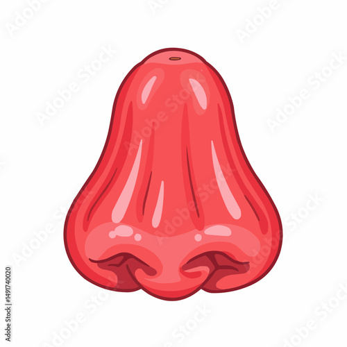 Rose apple fruit with red skin and dark-brown seed, isolated on white backdrop