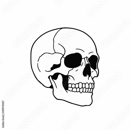 Upper right corner shows the outline of a skull in black over a white background