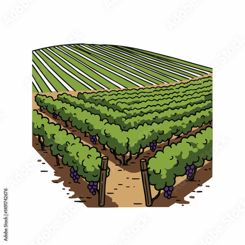 Vineyard vista with neat rows, lush greenery, & grapes. Serene countryside