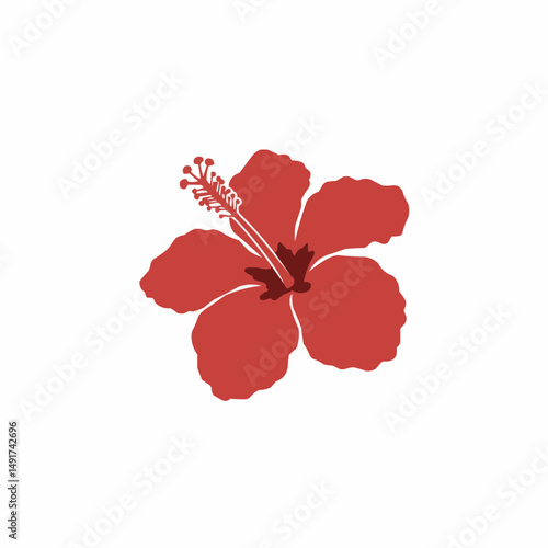 Red hibiscus blossom in corner of white background. Stigma details visible; tropical floral
