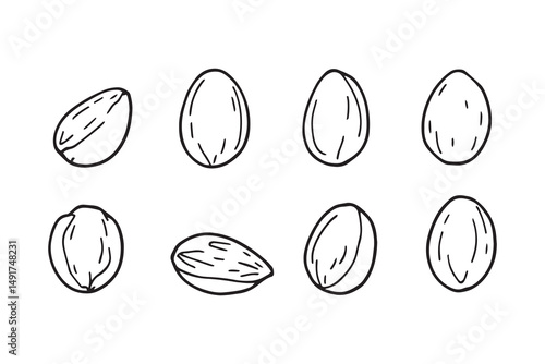 almond line art and black color