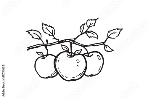 apple tree branch line art and black color 