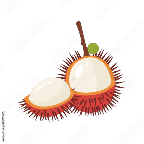 Rambutan Fruit Illustration