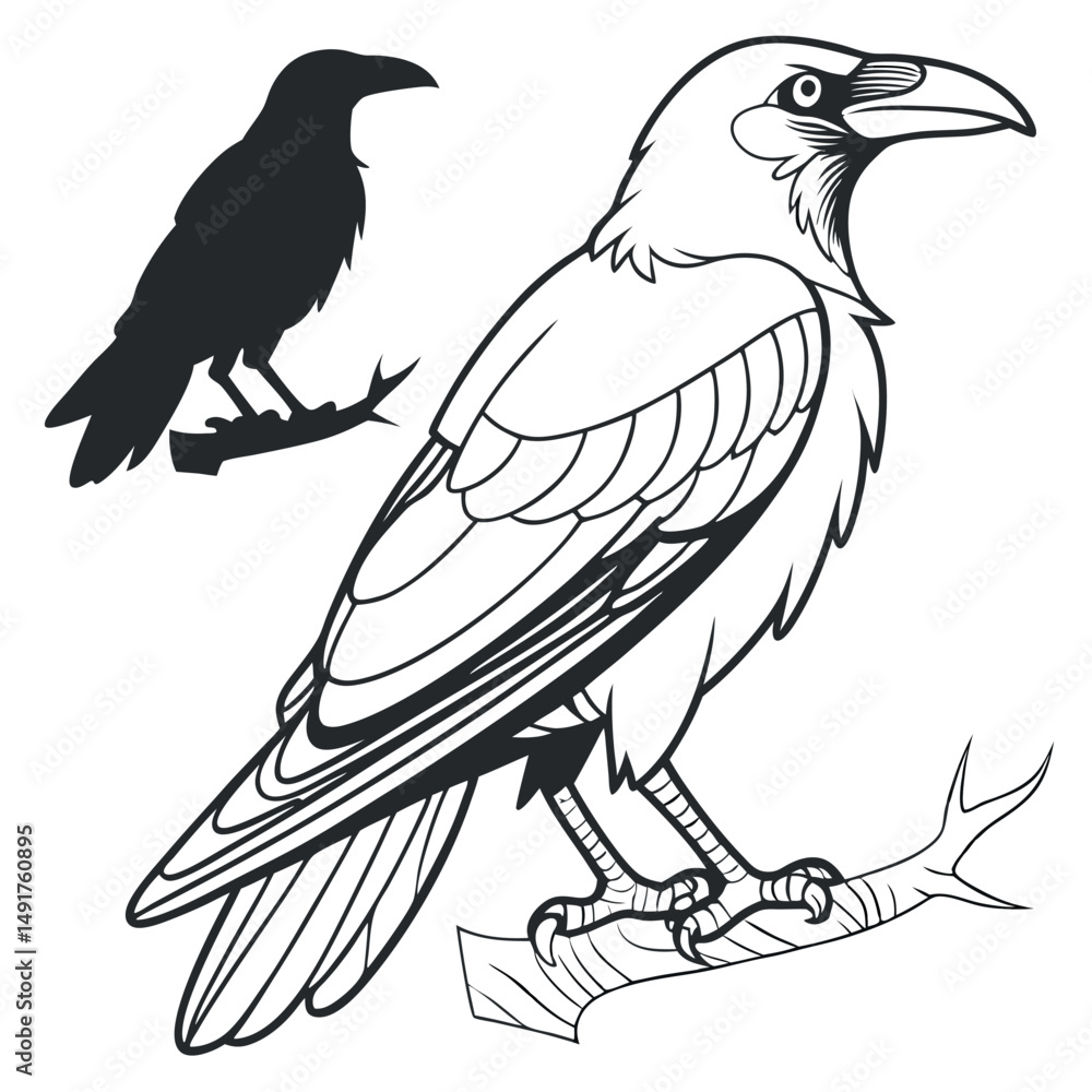Obraz premium Detailed raven line art illustration isolated on white background, perched on branch