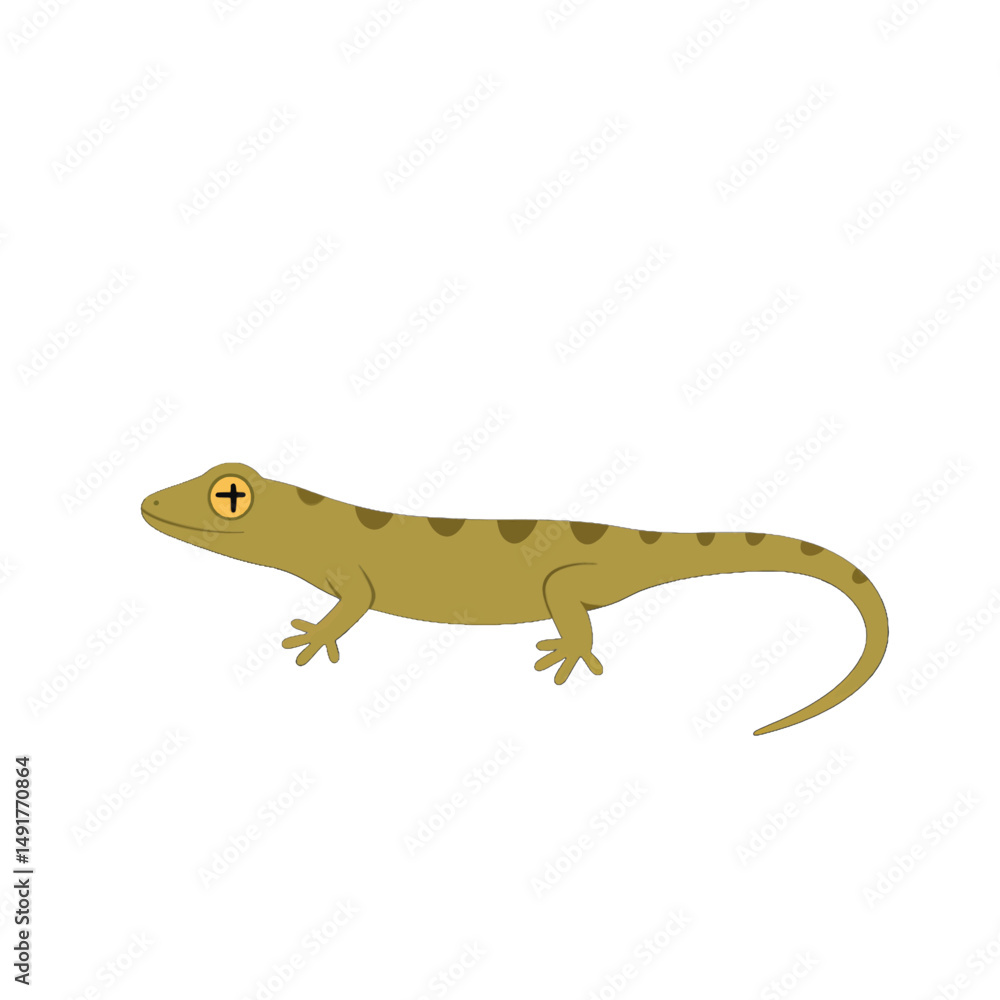 Fototapeta premium Brown Spotted Gecko Profile View
